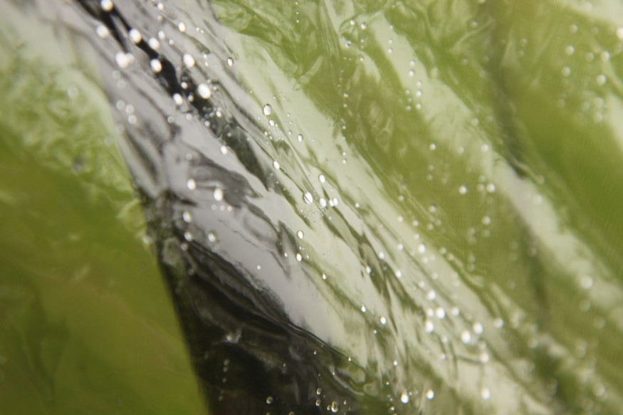 Шатер автомат Olympia (шатер на 10 человек), Maverick